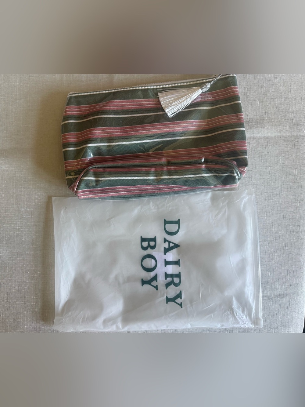Diary Boy Make Up Bag- NWT Friday Stipe